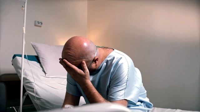 Пушистые Приключения