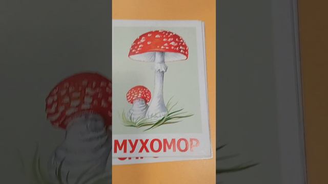 Заняття з ознайомлення з природою 