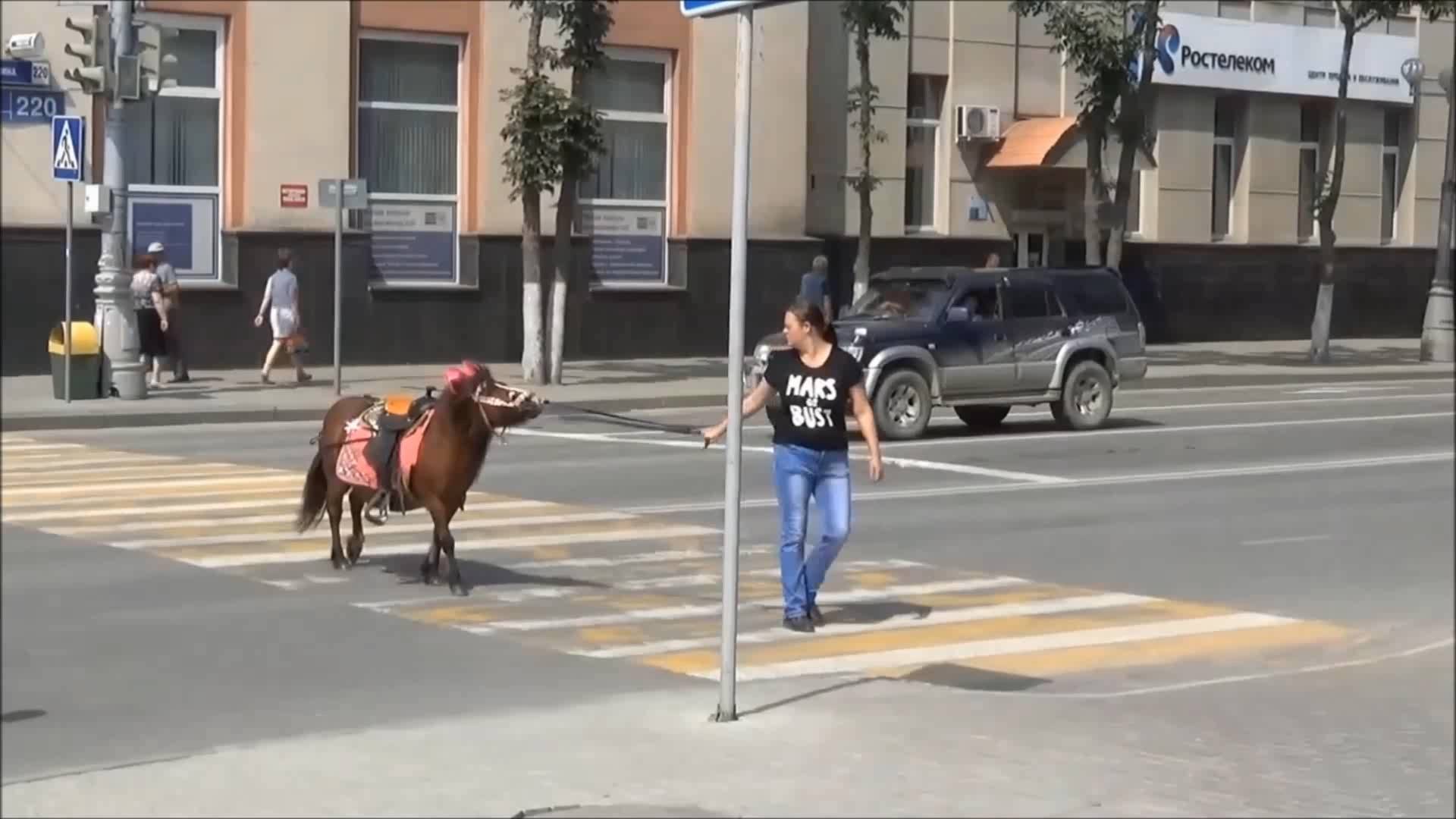 Мой остров Сахалин. смотреть онлайн