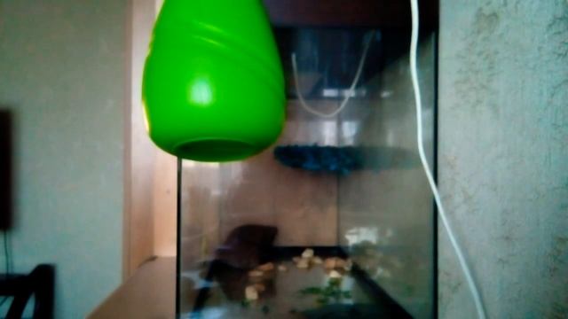 Тут видно как из ракет бас на колонках смотреть онлайн