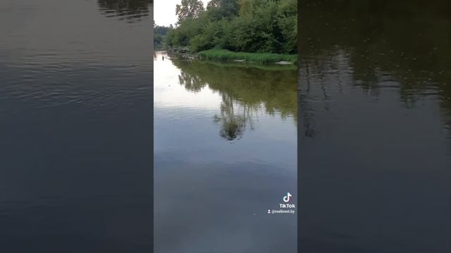 РАЗНОЦВЕТНОЕ ТЕЧЕНИЕ РЕК В БРЕСТСКОЙ КРЕПОСТИ смотреть онлайн