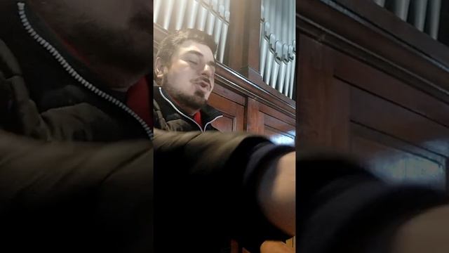 virgen del Carmen, Mauricio Mardones, órgano a tubos, San José, Concepción. смотреть онлайн