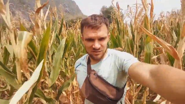 Олеся зарабатывает с 7 лет. Сбор тамаринда. Таиланд сегодня. смотреть онлайн