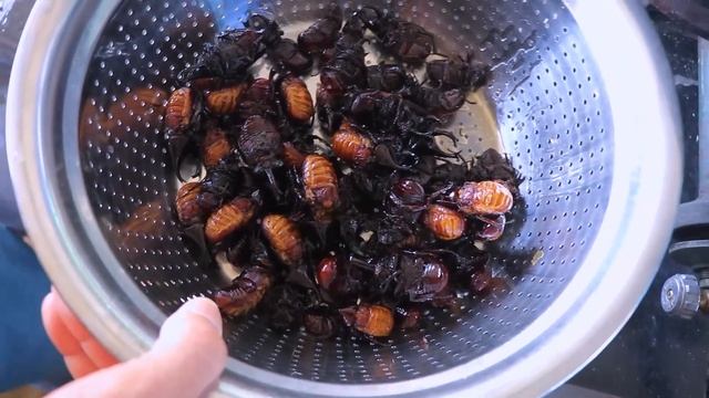 Dung Beetle 2kg to Cook смотреть онлайн