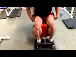 Тренировка ног без нагрузки на спину - Г. Зобач