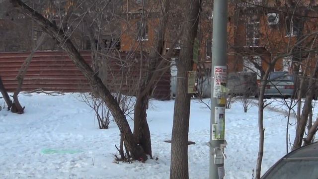 крысы во дворе смотреть онлайн