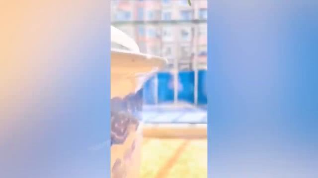 Я РЖАЛ ЦЕЛЫЙ ЧАС ? СМЕШНЫЕ КОШКИ И СОБАКИ _ СМЕШНЫЕ ЖИВОТНЫЕ ЗА ВЕСЬ МАРТ 2022 ?.mp4 смотреть онлайн