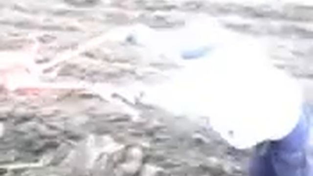 и дети пашут на Беларус 09 Н смотреть онлайн