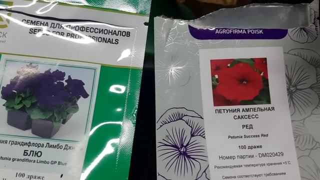 ПОСЕЙТЕ ПЕТУНИЮ ТАКИМ СПОСОБОМ, так быстро появятся всходы петунии смотреть онлайн