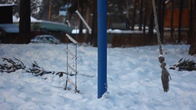 Помогите животным смотреть онлайн