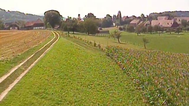 SWISSVIEW - BE, Mötschwil смотреть онлайн
