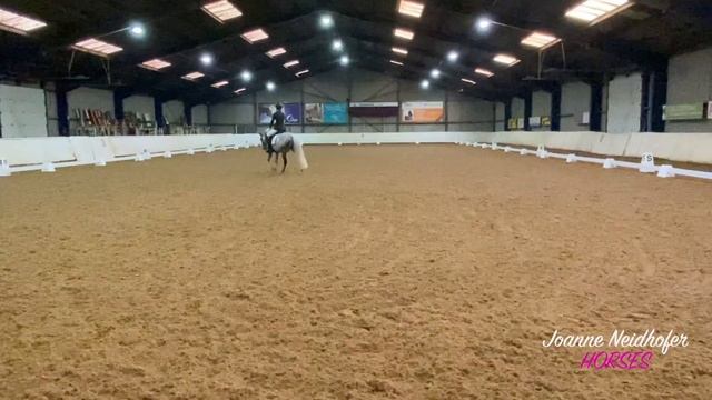 WAUWWW!! Wat een droom debuut in het ZZ ZWAAR!?❤️??✨?? #joanneneidhoferhorses #vlog344 смотреть онлайн