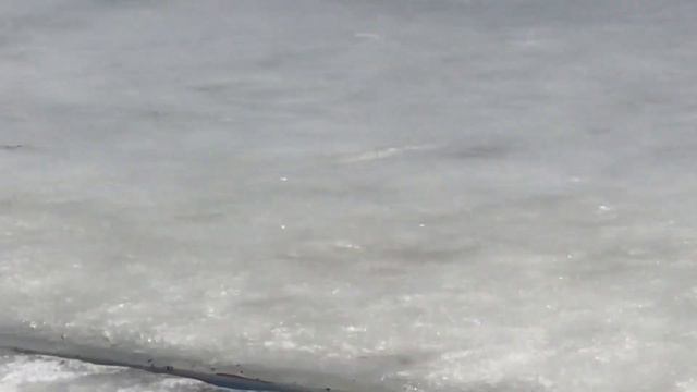 До весны 10 дней