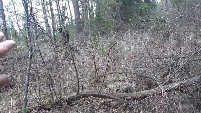 Как найти золото в ручье, практически со 100% вероятностью!!! смотреть онлайн