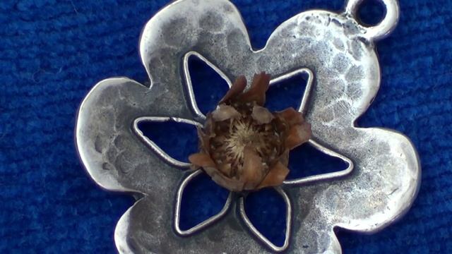 Путешествие по Израилю. Цветок Девы Марии смотреть онлайн