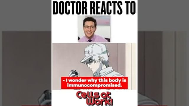 CELLS AT WORK anime @ real doctor videomazing react !! смотреть онлайн