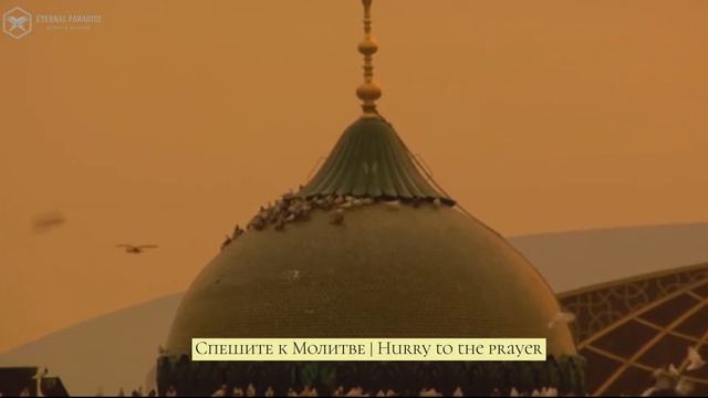 Красивый Азан | Amazing Azan | أجمل أذان