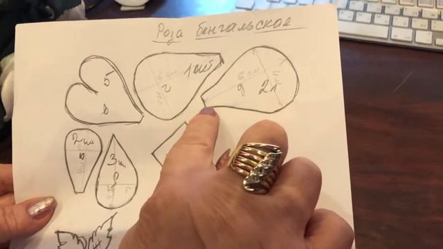 16ноября и бенгальская роза смотреть онлайн