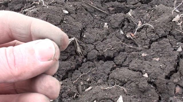 Первый коп со снайперкой по мусоркам... смотреть онлайн