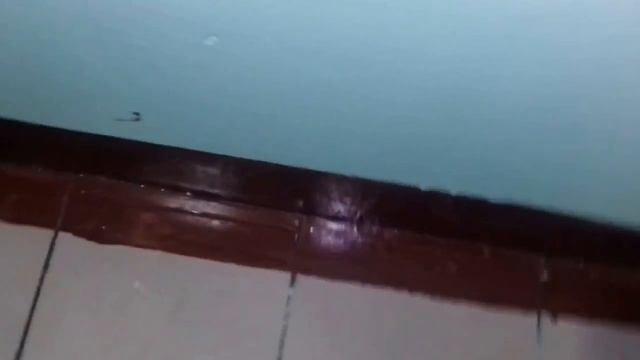 Ремонт подъезда жилого дома в Москве выполненый рукажопыми мастерами.покраска стен и плитки))!!!! смотреть онлайн