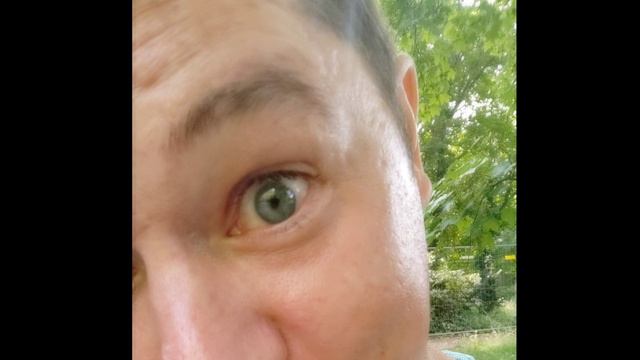 Мой Nevermore 2023