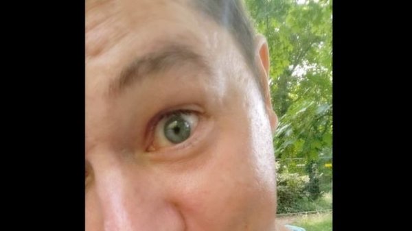 Мой Nevermore 2023