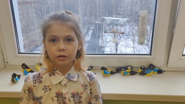 забота о птицах зимой. смотреть онлайн