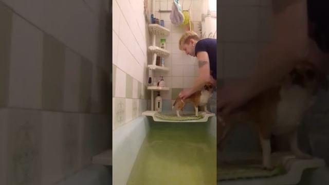 Шкет купается и плавает в ванной. смотреть онлайн