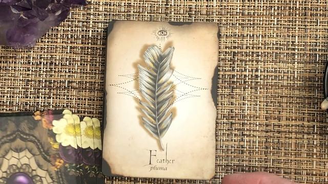 Antiquities of Magic Oracle Unboxing and Fist Impressions смотреть онлайн