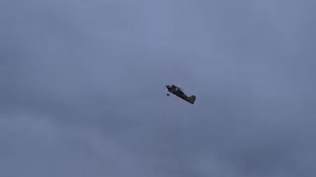 Pitts Bulldog EPP Pilotage