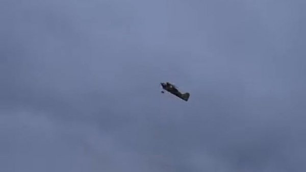 pitts bulldog EPP pilotage