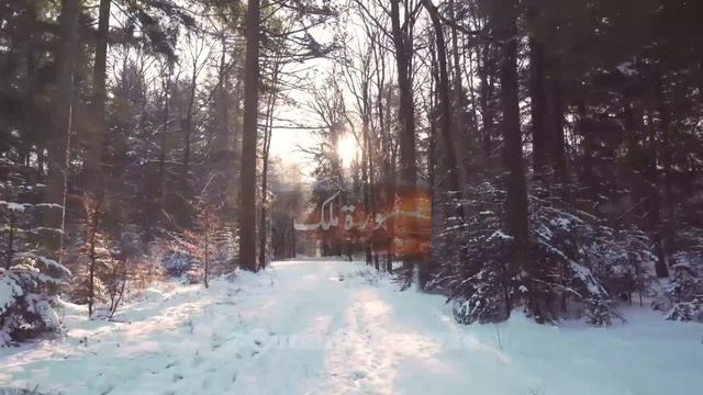 Surah Al Mulk - Omar Hisham Al Arabi _ سورة الملك - عمر هشام العربي смотреть онлайн