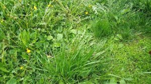 iTunes не видит iPhone или iPod не удаётся синхронизировать устройство. на ПК решение проблемы