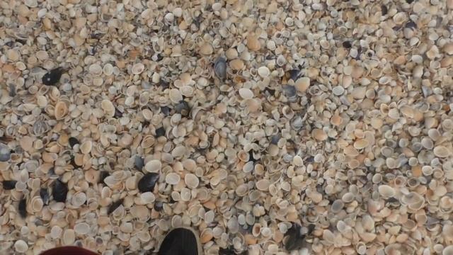 Генеральские пляжи / Караларский природный парк / Крым смотреть онлайн