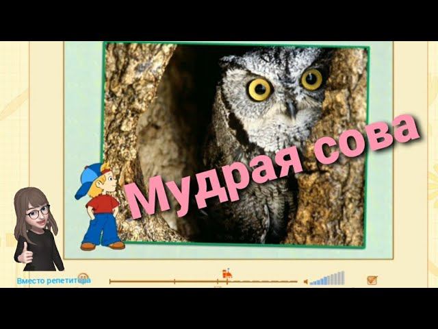 Поделки из природного материала. Технология 1 класс. смотреть онлайн