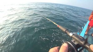 Рыбалка на БАРРАКУДУ - 5 ШТУК ЗА РАЗ! #тайскиехроники