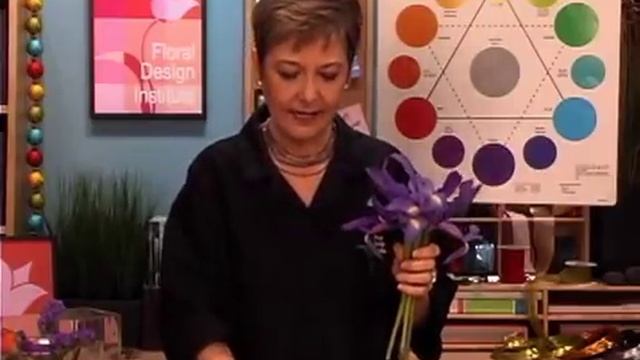 A Study of Triadic Color Schemes смотреть онлайн