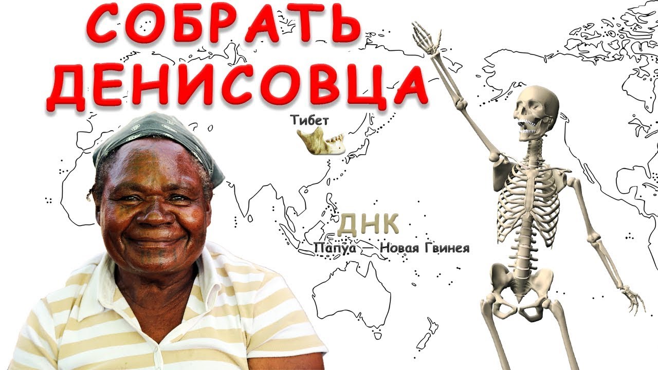 Денисовский человек, от фаланги до черепа и челюсти. Генетическое разнообразие денисовцев в ЮВА
