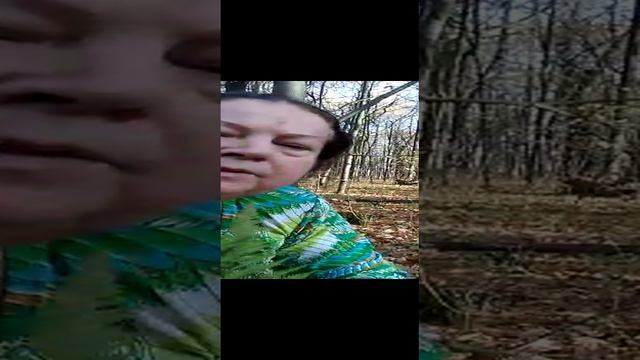 VID-20230123-WA0009.mp4 смотреть онлайн