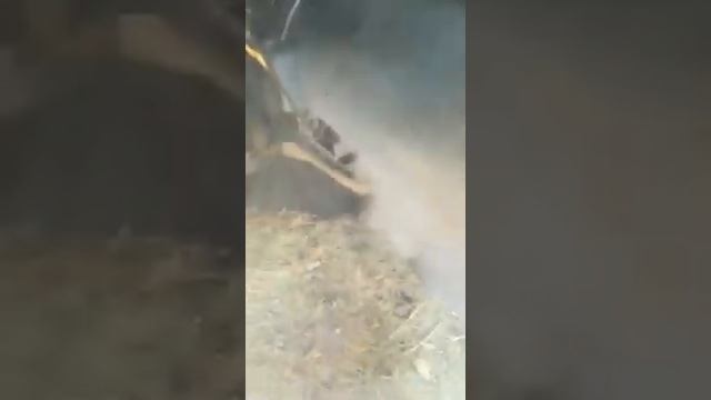 Подписшик представляет.подключения 15-ый пжд моего схемой,без ЭБУ! смотреть онлайн