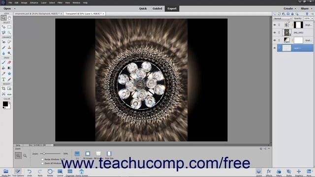 Learn About Layers and the Layers Panel in Adobe Photoshop Elements 2022: A Training Tutorial смотреть онлайн