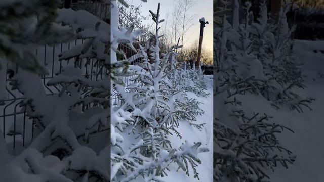 Жизнь напоминает огромную библиотеку, где каждый человек - уникальная книга. 19-12-2023