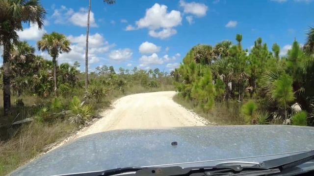 Everglades and Florida's First Off Roading Rivian R1T!!! смотреть онлайн