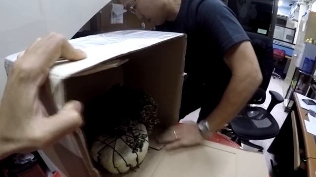 Full unpack VDO Hinoki Sekka from Deutschland смотреть онлайн