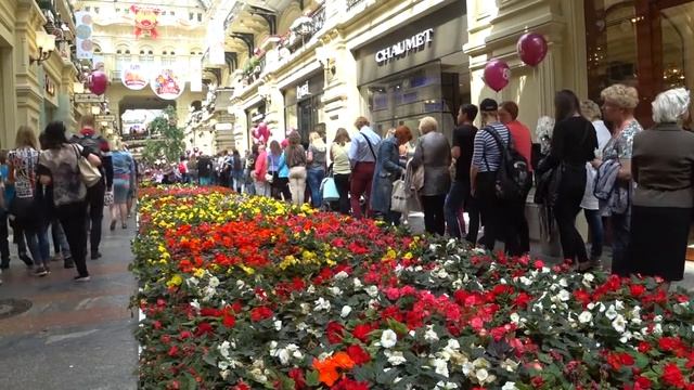 Выставка цветов в ГУМе смотреть онлайн