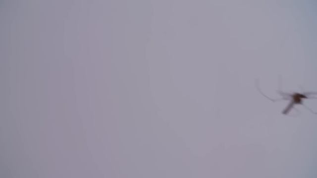 Why You Wouldn't Survive SCP's Keter Class (3501-4000) смотреть онлайн