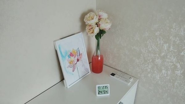 Мобильный кондиционер. Температурный тест . Electrolux  EACM-09 CL/N6 #жарко #лето2021 #комфорт