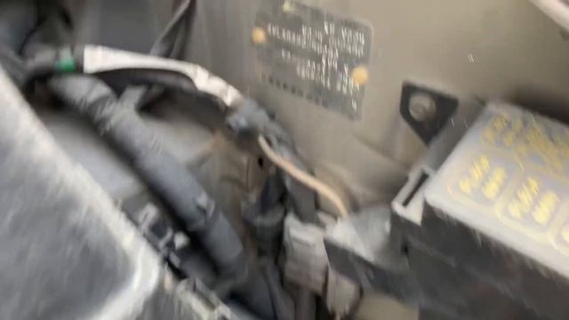 126 Serena VC24 YD25