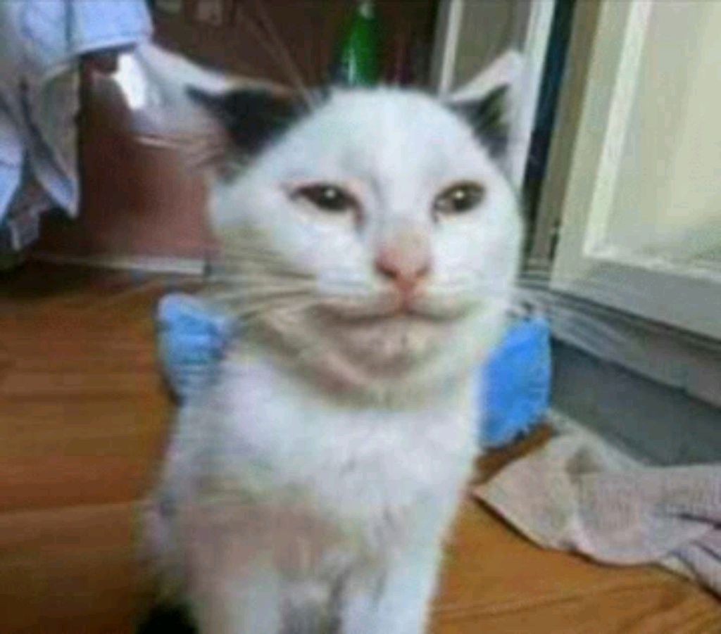 играем в чё-нить