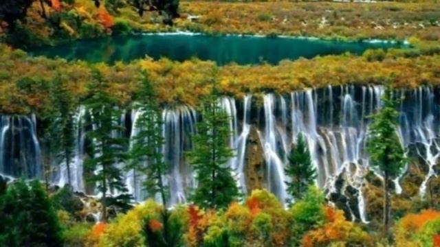 Псалом,Лети душа...." смотреть онлайн